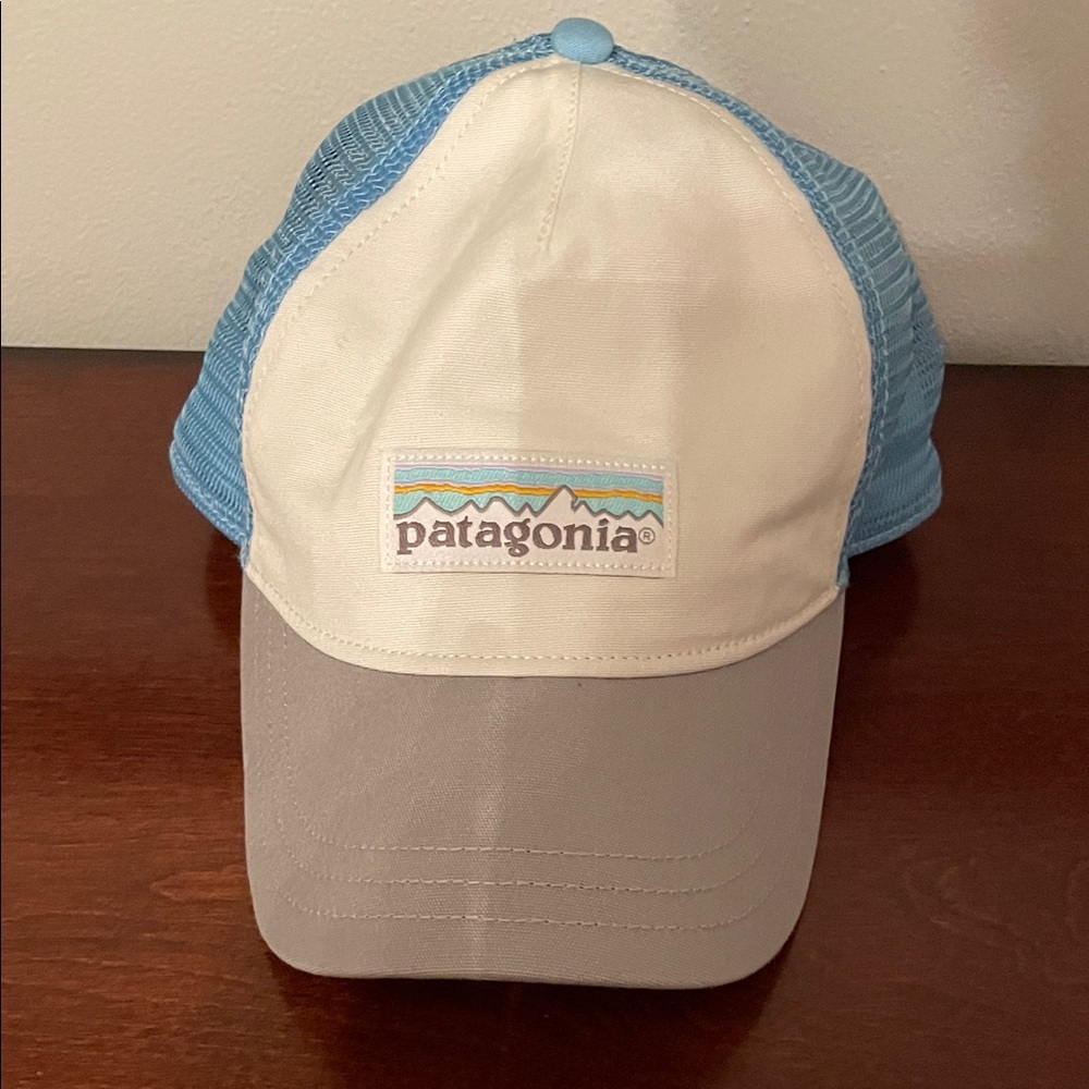 Patagonia Light Blue and Cream Cap